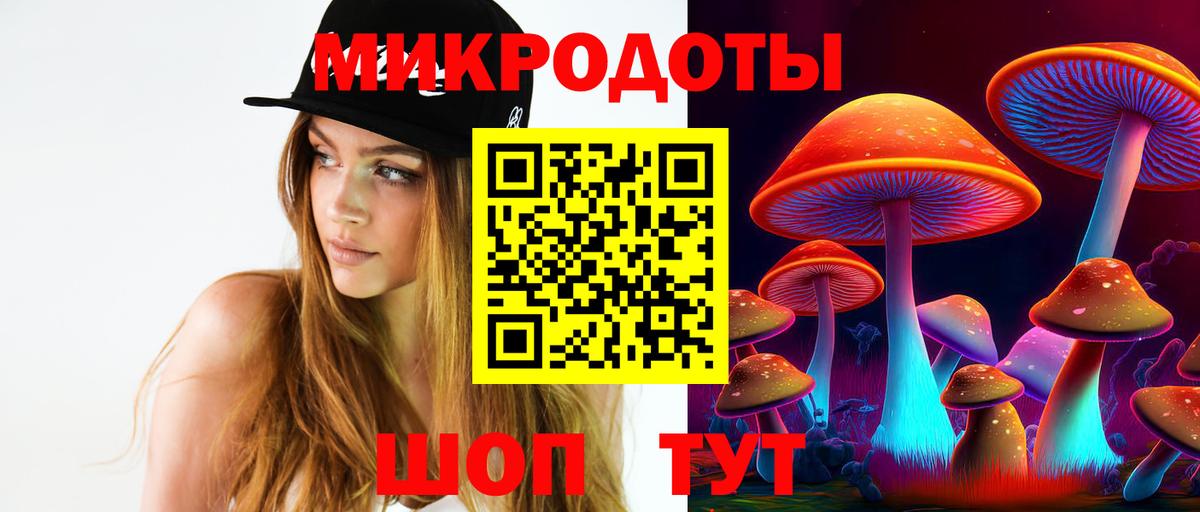 Галлюциногенные грибы Psilocybine cubensis Североморск