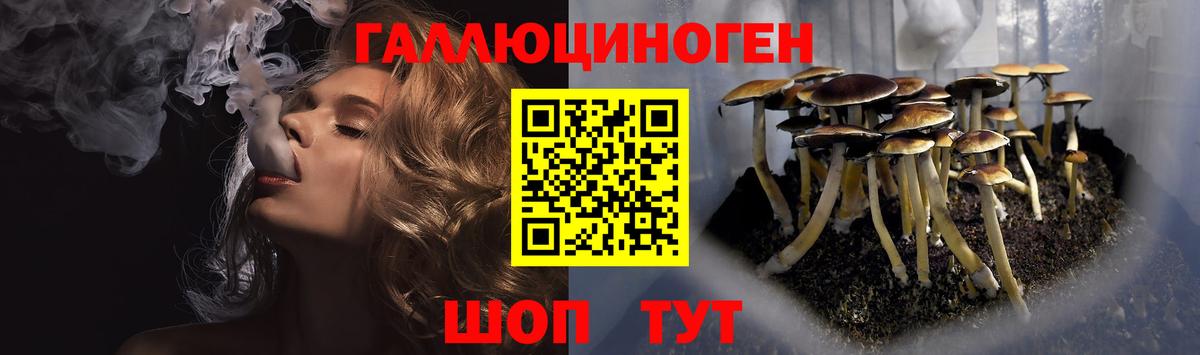 Псилоцибиновые грибы Psilocybine cubensis  Вход с VPN  Североморск 